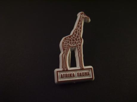 Afrika- Fauna ( Giraffe)